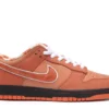 Dunk Low Concepts Orange Lobster Reps