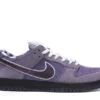 Dunk Low Concepts Purple Lobster Reps